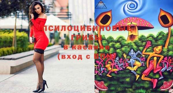 тгк Ростов