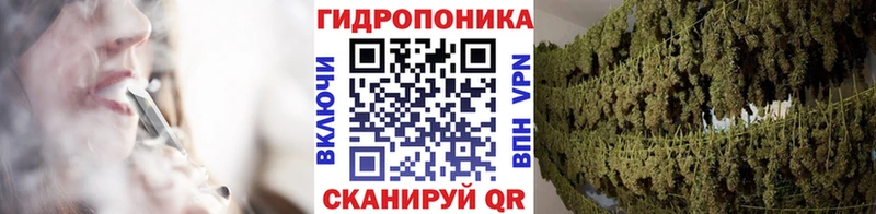 Бошки марихуана план  Купить  Дубна 